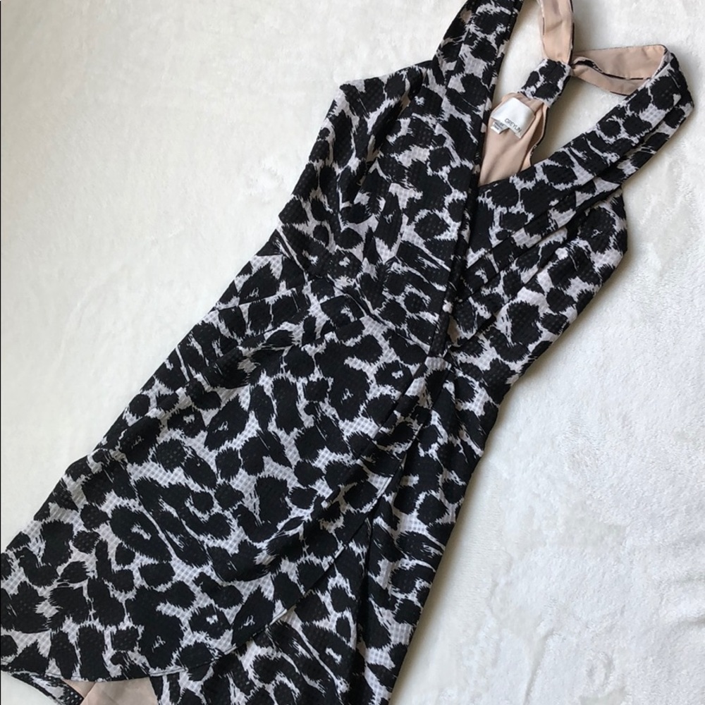 Anthro Greylin leopard print dress w pockets